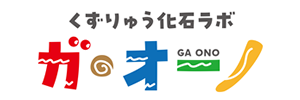 和泉郷土資料館「くずりゅう化石ラボ　ガ・オーノ」